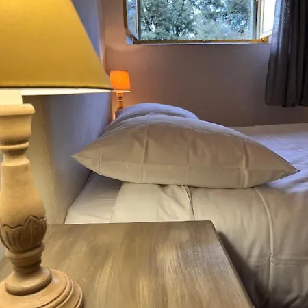 Casa Musicale Hotel