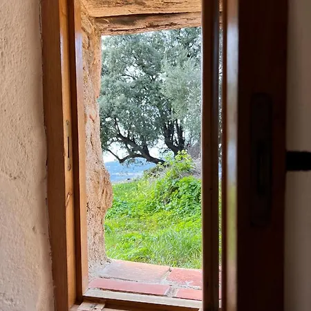 Отель Casa Musicale