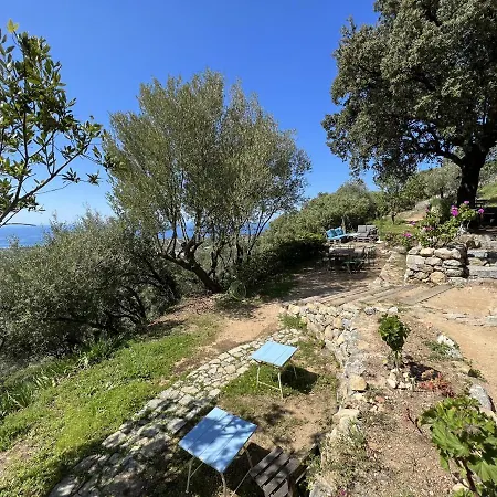 Casa Musicale 2* Pigna